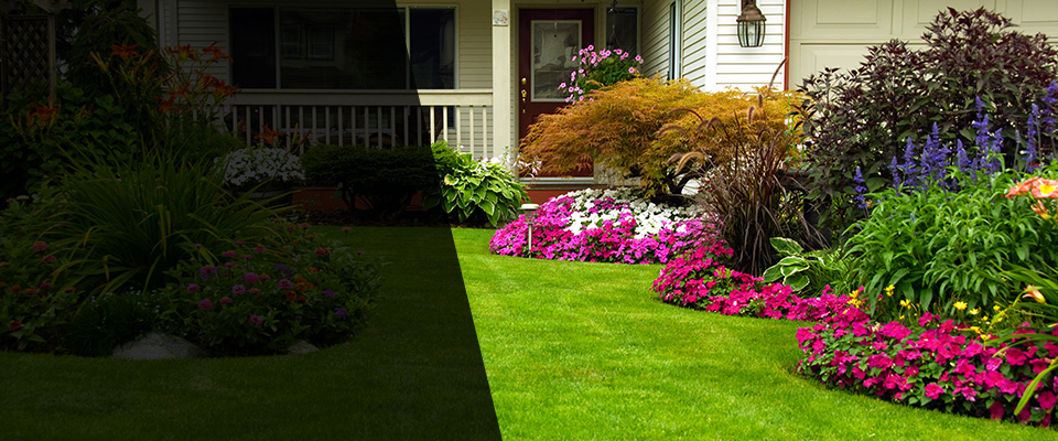 Jesup Landscapers