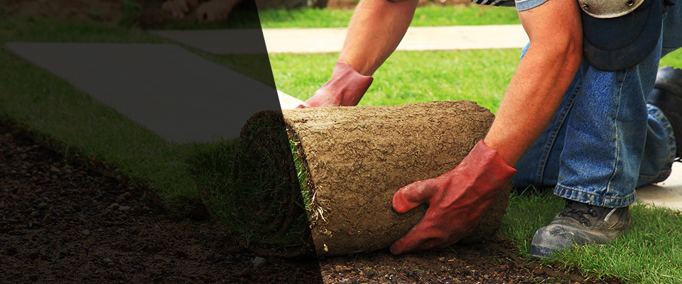 Jesup Landscapers
